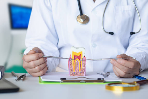 Best Chipped Tooth Repair Near Me  in Highpoint, OH